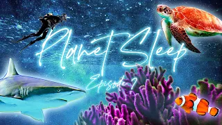 The Majestic Great Barrier Reef Relaxing Sleep Story Soothing Music & Nature Sounds -Planet Sleep #7