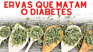 15 ERVAS NATURAIS MATADORAS DE DIABETES [LIMPA O AÇÚCAR NO SANGUE]