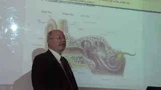 anatomy and nerve supply to the inner ear by Dr. Wahdan