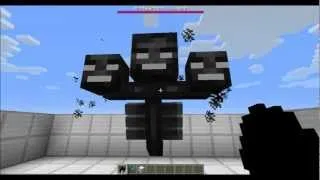 1.4 Snapshot - Wither Boss