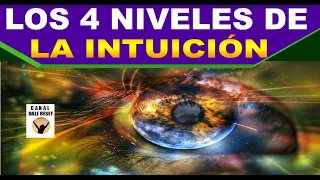 LOS 4 NIVELES DE LA INTUICIÓN | INTELIGENCIA INTUITIVA