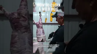 Keith Warren Teaches you how to clean a wild hog! - full video in description