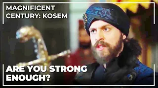 Sultan Murad Declared Shiek Al Islam A Traitor | Magnificent Century: Kosem