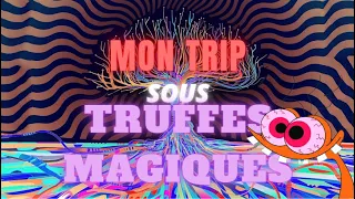 TRIP REPORT #1 / MON TRIP SOUS TRUFFES MAGIQUES (magic truffles)