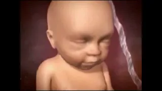 Desarrollo fetal semana a semana, video tomado de la página de Baby Center