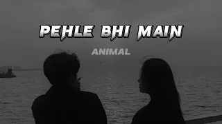 Pehle Bhi Main |Animal Movie Song|Ranbir Kapoor|Tripti Dimri|Sandeep V|Vishal M|Raj S|Bhushan K