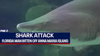 Florida man attacked by shark