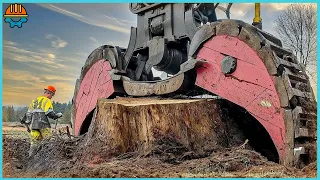 65 EXTREME Dangerous Huge Stump Removal Excavator | Best Of The Week