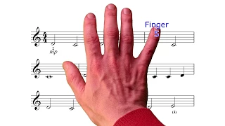 The most beautiful melody to learn the treble clef in 5 min. For piano with the right hand