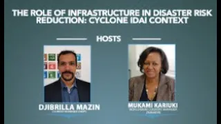 The role of infrastructure in disaster risk reduction: Cyclone Idai Context