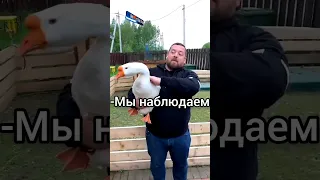 Давидыч в Гостях у Академика😅 #shorts