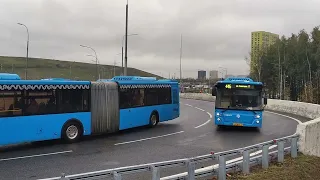 Автобусы на ТПУ "Саларьево", Москва / Buses near Salarievo interchange terminal, Moscow