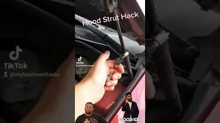 Hood Strut Hack