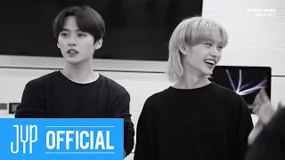 Stray Kids [INTRO "IN生"]