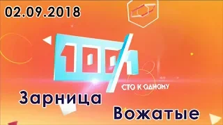 100 к 1 // Сто к одному ("Зарница" vs "Вожатые") 02.09.2018