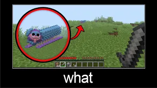 Minecraft wait what meme part 239 (Scary PJ Pug-a-Pillar)