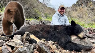 BEARS EVERYWHERE!!! | Idaho Spring Bear Hunting