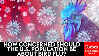 How Concerned Should The U.S. Population Be About Bird Flu?