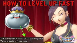 Dragon Quest XI - How to Level up Fast - Fastest Way to Farm XP!!!