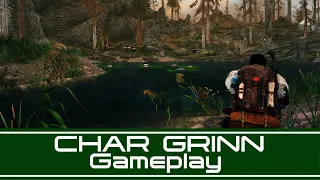 Char Grinn MCO | Skyrim Amazing Combat Mod list part 1.