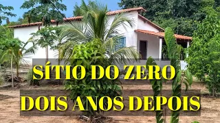 MOSTRANDO TUDO! COMO ESTÁ O SÍTIO DO ZERO DEPOIS DE DOIS ANOS!