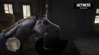 Stealing the Rose Grey Arabian from Blackwater