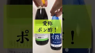 【コスパ最強インク】ブルーブラック350ml瓶の愛称は「ポン酢」比較してもやっぱりポン酢だった！#shorts  #万年筆 #文具