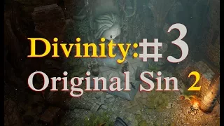 Прохождение Divinity: Original Sin 2 #3 - Исследуем остров и форт