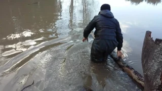 Проверка сети