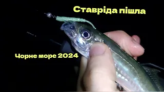 Ставрида пішла.Рибалка на СТАВРІДУ 2024.Готуем смачну сушену ставріду.