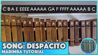 Learn How To Play Despacito On The Marimba | Tutorial