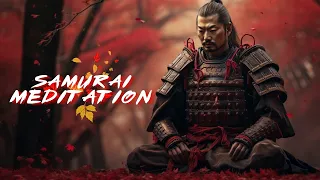 1 Hour of Samurai Meditation - Reflecting On Life