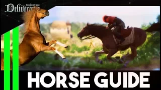 Complete HORSE GUIDE (Armor, Speed, Saddle and More) - Kingdom Come Deliverance