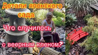 Какие  детали дополнят японский сад,почему пропадает сосна и что случилось с японским кленом?