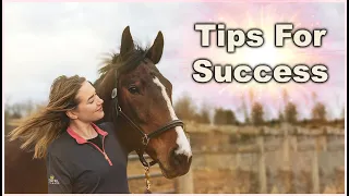 How To Gain A Horse's Trust 💕