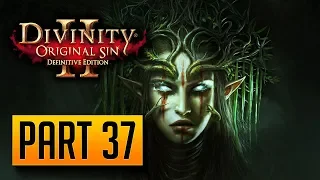 Divinity: Original Sin 2 - 100% Walkthrough Part 37: Desiccated Undead (CO-OP Tactician)