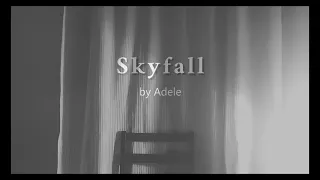 Adele - Skyfall | Male Cover
