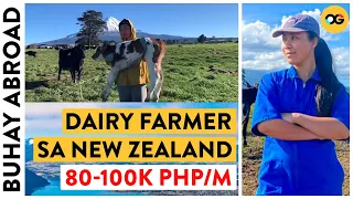 Becoming  a Dairy Farmer in New Zealand | Buhay Abroad | OG