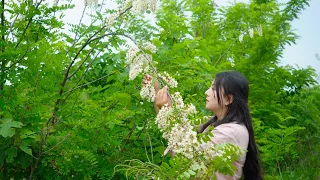 sowing｜Delicious food from nature: wild vegetables 播種｜從大自然中汲取的鮮美：野菜