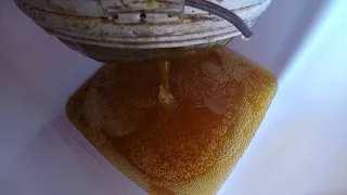 Качаем дикий мёд  от средне-русской пчелы часть2