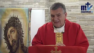 Homilía de hoy | Viernes Santo en la Pasión del Señor| 29-03-2024 | Pbro. Santiago Martín, FM