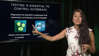 Testing...Testing: Responding to the COVID-19 Pandemic