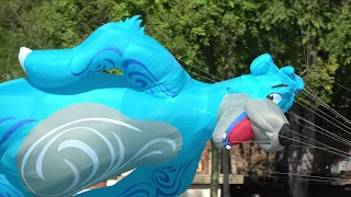 Disney's Kite Tails - Disney's Animal Kingdom (2021) 4K