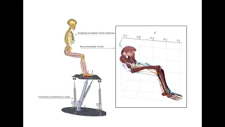 Validation of a real time musculoskeletal model with AnyBody