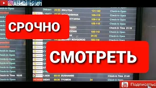 Аэропорт Домодедово Чартерный рейс 23 09 20г