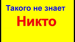 Чем остановить кровь из носа? Этот метод никто не знает