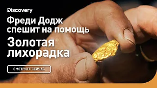 Фредди Додж спешит на помощь | Золотая лихорадка | Discovery