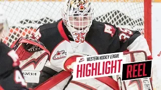 2018-19 HIGHLIGHT REEL | Taylor Gauthier