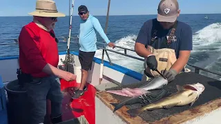 Al Gauron Deep Sea Fishing, Hampton New Hampshire 2023 E/I