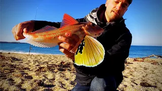 Incredible FISHING SPOTS at the end of the world #INVERCARGILL, NZ